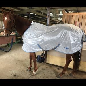 Saxon Mesh Fly Sheet